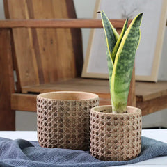 Vintage Cement Flower Pot for Indoor Plant Decor