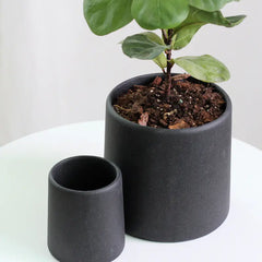 Minimalist Concrete Indoor Plant Pot