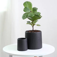 Minimalist Concrete Indoor Plant Pot