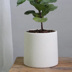 Minimalist Concrete Indoor Plant Pot