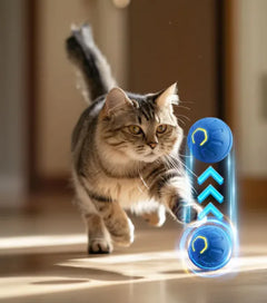 Smart Cat Toy Ball