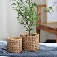 Vintage Cement Flower Pot for Indoor Plant Decor