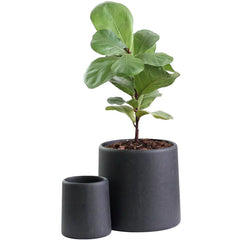 Minimalist Concrete Indoor Plant Pot
